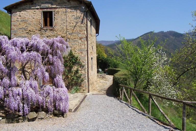 Fattoria Di Pietrabuona Apartment Pescia Exterior foto