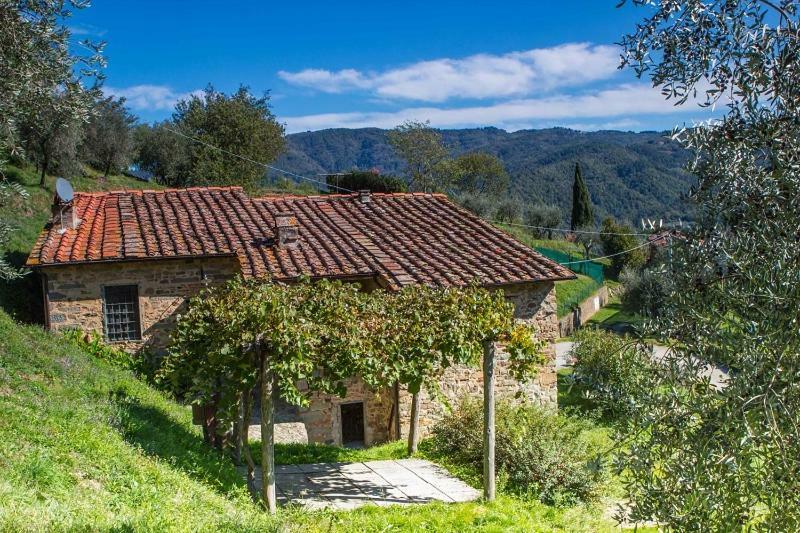 Fattoria Di Pietrabuona Apartment Pescia Exterior foto